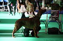 Crufts2011 064